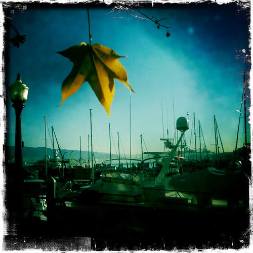 Fall in Coal Harbour