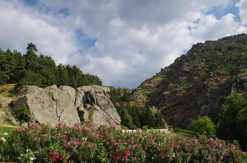 IMGP1343
