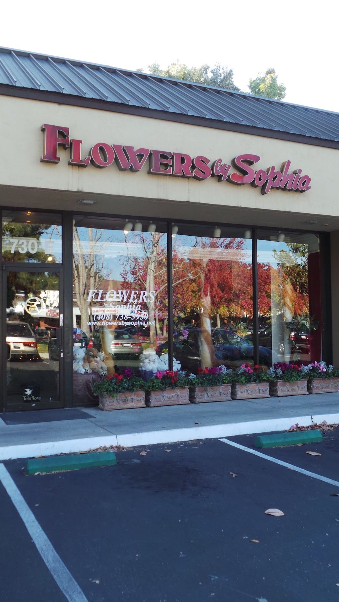 Flowers by Sophia