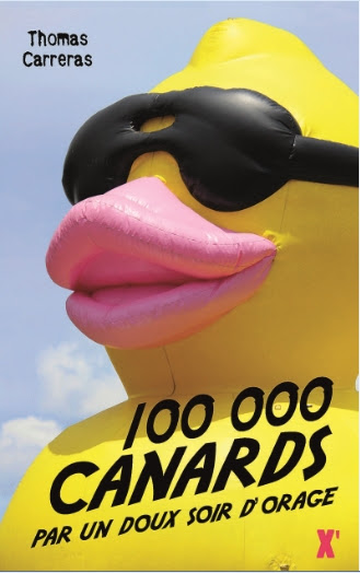 Couverture 100 000 canards par un doux soir d'orage