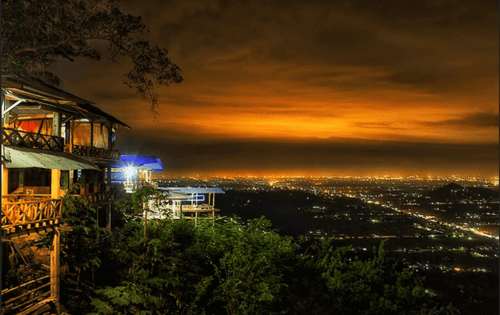 33++ Gambar Pemandangan Hutan Malam Hari Pemandangan Indah Sekali