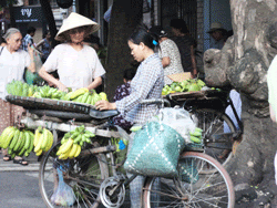 Người bán hàng rong trên xe đạp-Hà Nội-RFA photo