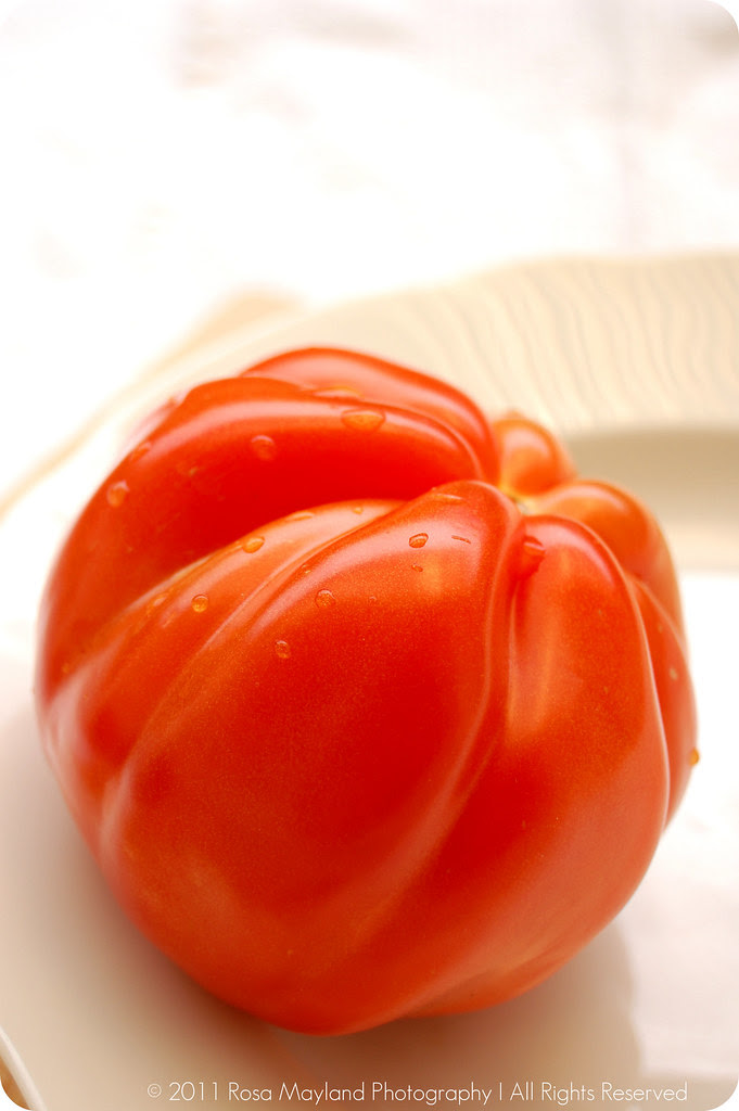 MLLA Tomato 3 bis