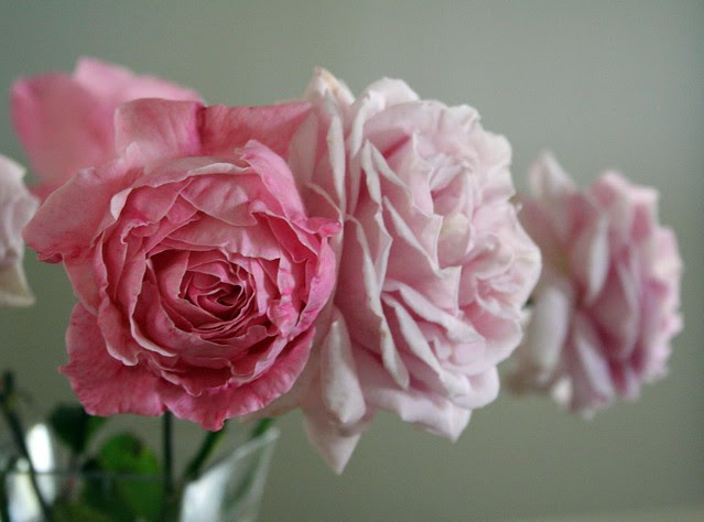 roses at the table