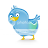 twitter bird Pictures, Images and Photos