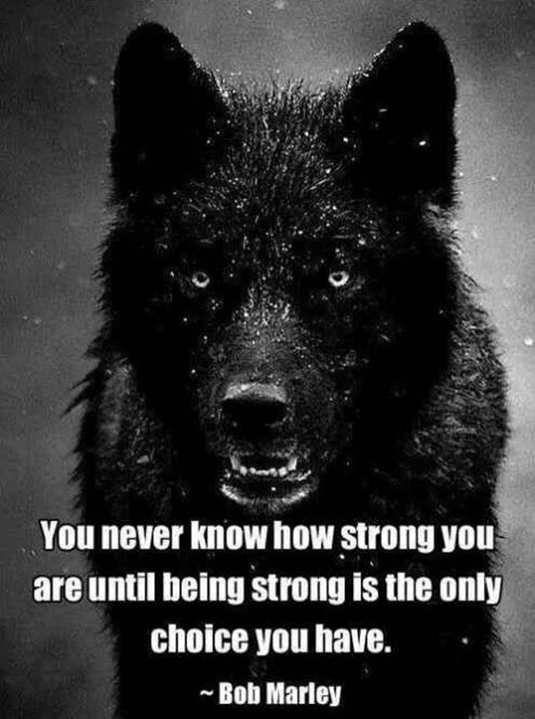 inspirational quotes about strength (11)