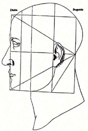 Leonardo Da Vinci's illustration from De Divina Proportione applies the golden ratio to the human face.