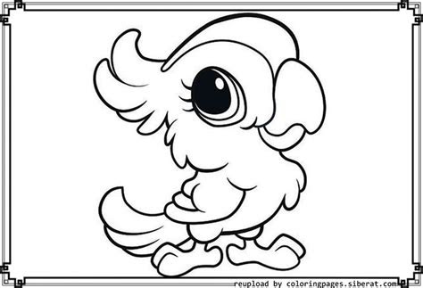 coloring pages images  pinterest coloring