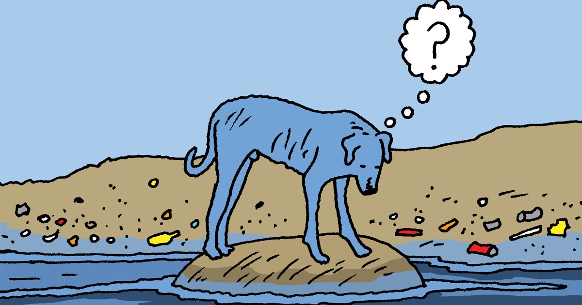 Chernobyl Blue Dogs Stray Dogs Are Turned Bright Blue By