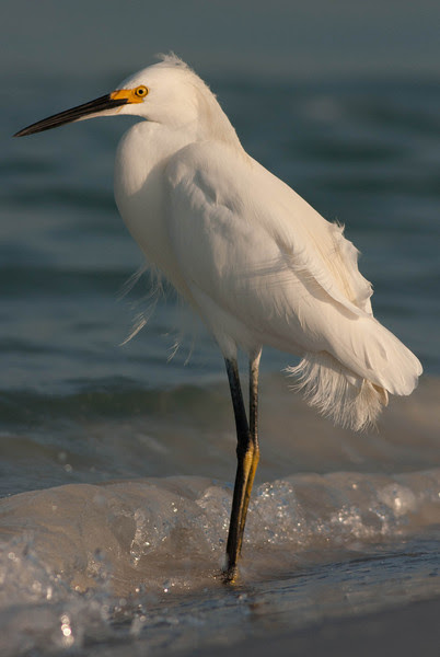 Photo & Video Sharing by SmugMug Photo & Video Sharing by SmugMug