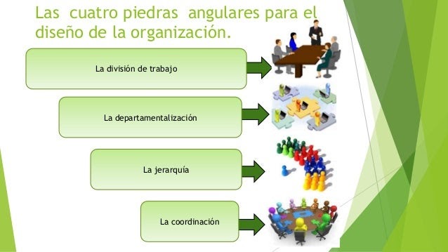 Diseño Organizacional ETAPAS DEL DISEÑO ORGANIZACIONAL