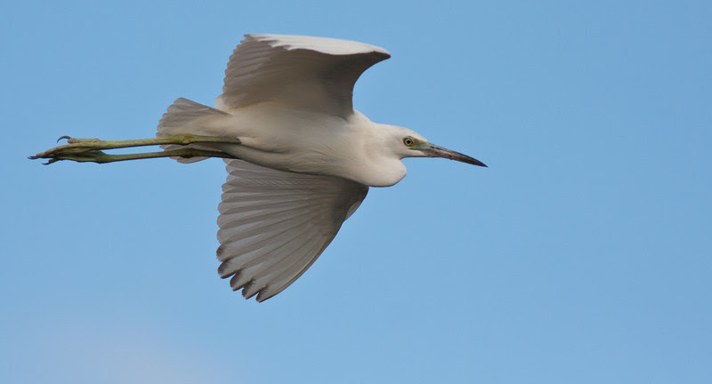 Photo & Video Sharing by SmugMug Photo & Video Sharing by SmugMug