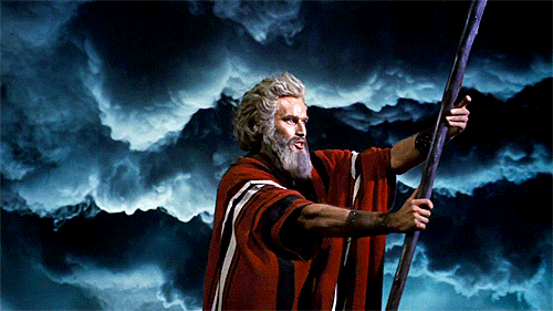 tumblr_nla1l18vlC1rvcjd7o3_500.gif