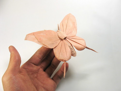 origami-butterfly