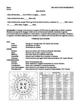 Mutation Worksheet 2 Answer Key - Dna Mutation Practice Worksheet