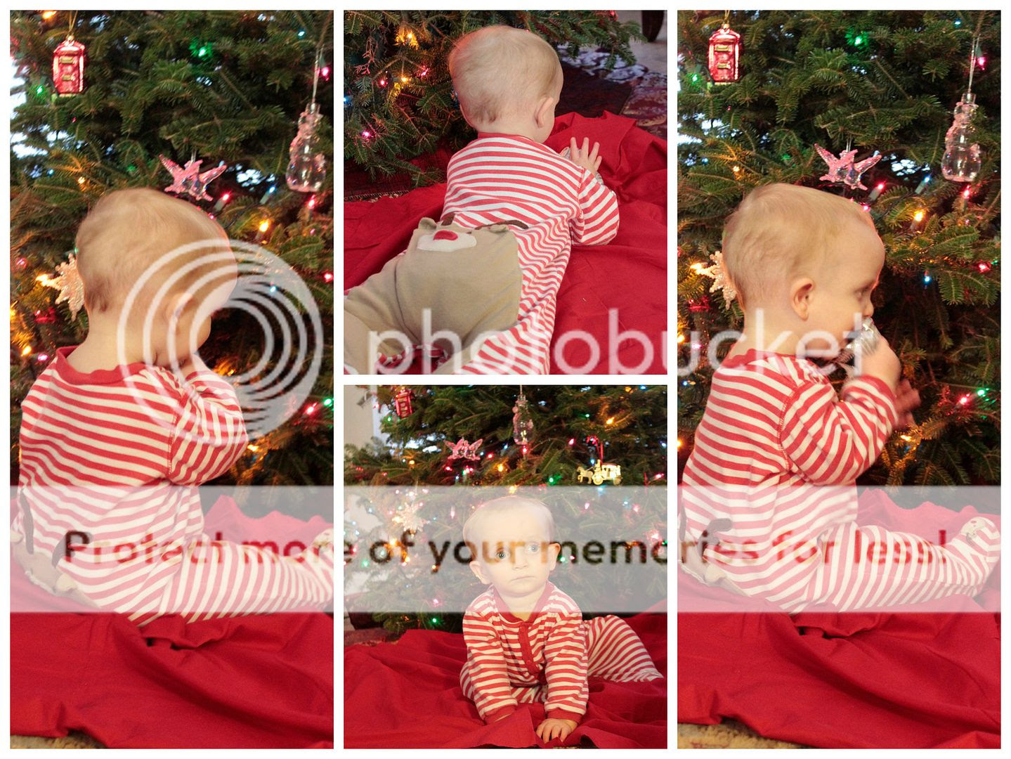 photo Mattox.collage1_zpssvckef43.jpg