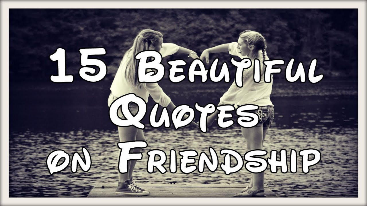 Friendship inspirational quote companionship moggy