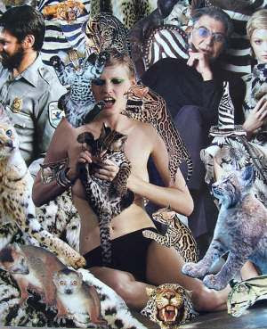cat fur products and trade