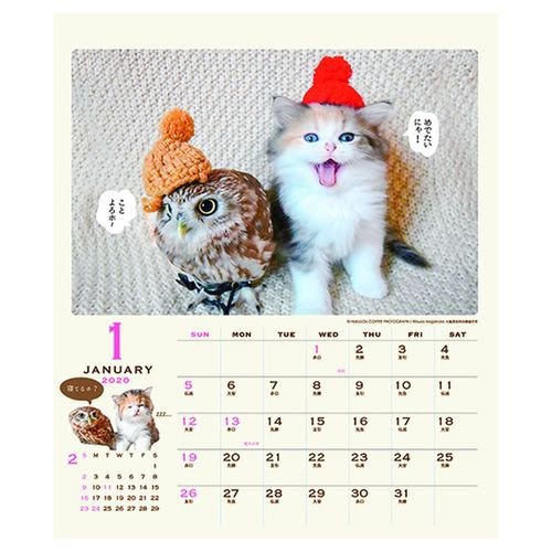 [ベストセレクション] カレンダー 2020 猫 Happy Lilac Jp