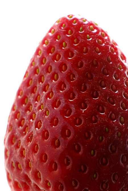 strawberry© by haalo