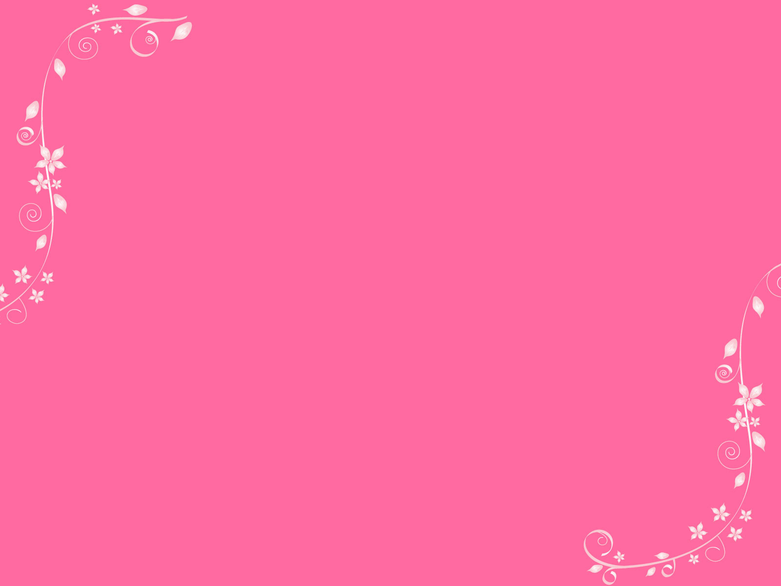 Wallpaper Hp Warna  Pink  Polos Paimin Gambar