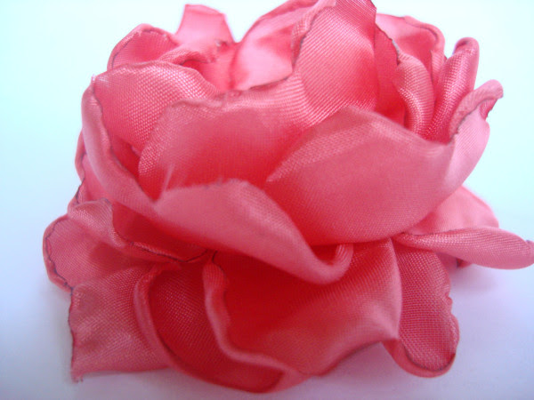 DSC05053 DSC05053