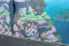 NZ 018
