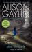 Into the Dark: A Novel of S...