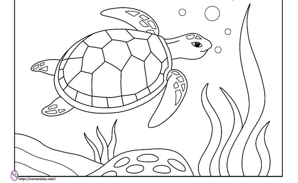 Gambar Hitam Putih Untuk Mewarnai Anak Tk