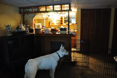 August 1 -finally moved into the basement today -3