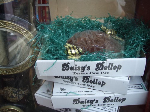A daisy dollop Dollop Of