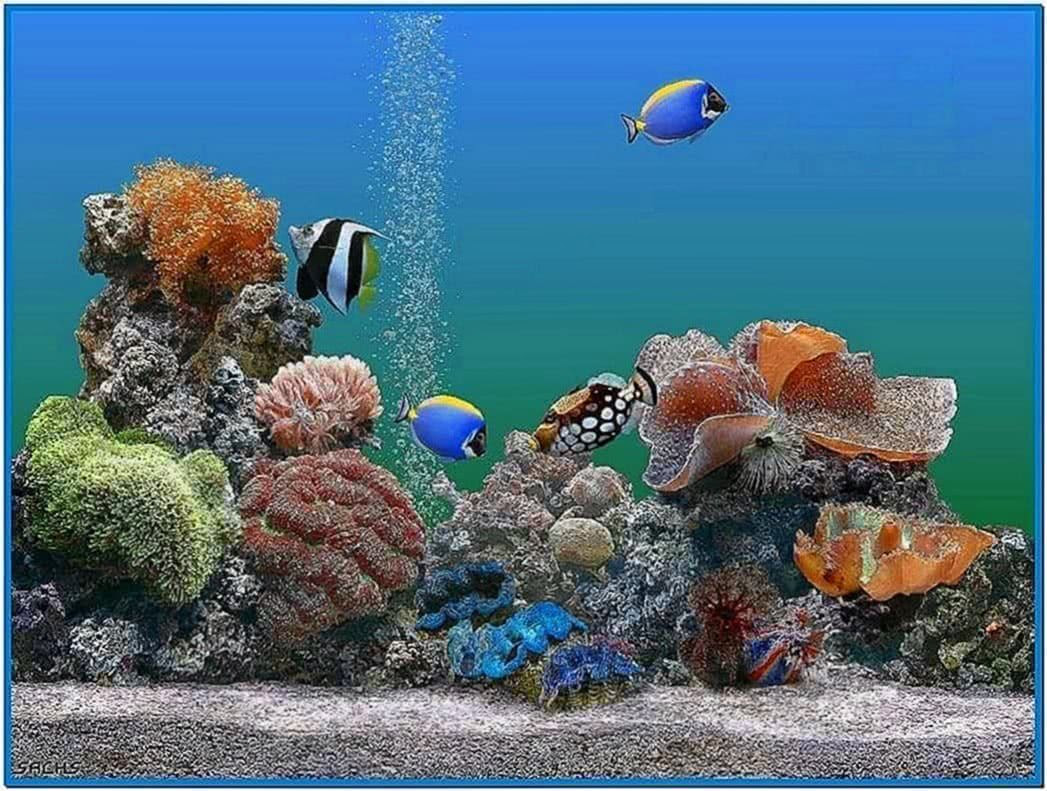 Animated Aquarium Screensaver | Funny Screensavers