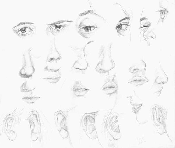 Featured image of post Female Nose Drawing Images