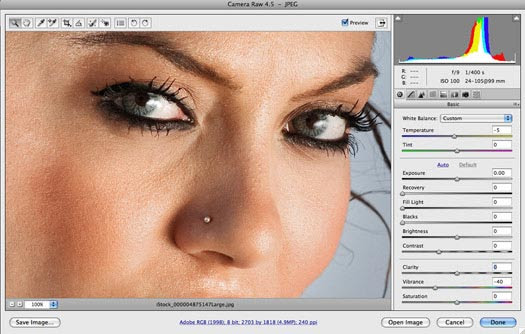 Adobe Photoshop CS4 Tutorial - Transforming A Smart Object In CS4 Working In Adobe Camera Raw - ACR - Adobe Camera Raw Tips