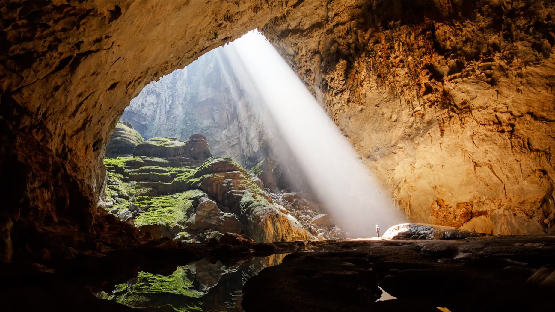 Son Doong Cave, το μεγαλύτερο σπήλαιο του κόσμου! ζωακια
