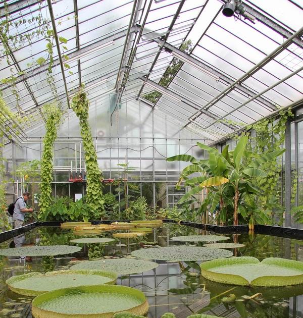 17+ Luxury Botanischer Garten Bochum Öffnungszeiten