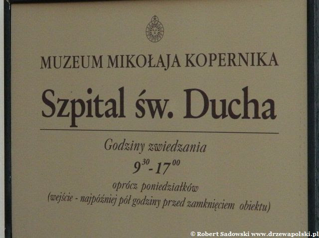 Ogród - herbarium przy Szpitalu Św. Ducha, Frombork Ogród - herbarium przy Szpitalu Św. Ducha we Fromborku