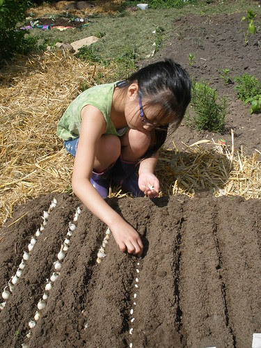 Olivia Planting Beans