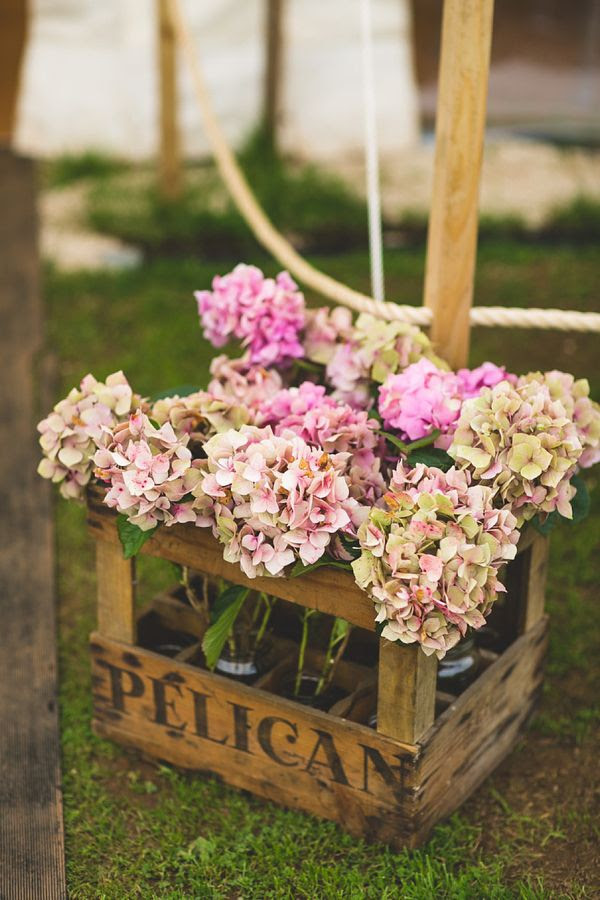 Hydrangea Hamburg in all its Vintage glory!