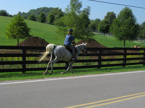 A little canter!