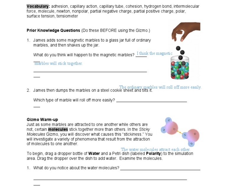 Sticky Molecules Gizmo Assessment Answers / Polarity And Intermolecular