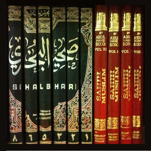 IrfanDoggar.com ►: Complete Sahih Bukhari Hadees in 8 Volumes with Urdu Tra...