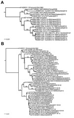 Thumbnail of Phylogenetic comparison of enterovirus D68 (EV-D68) obtained from St. Louis, Missouri, USA, in 2014, with other sequenced strains. The phylogenetic relationships of genome sequences (nucleotides) were estimated by using the maximum-likelihood method with RAxML (http://www.viprbrc.org) bootstrapped 100 times. A) Comparison of genome sequences for full-length and nearly full-length strains. B) Comparison of virus protein 1 sequences. Sequences were downloaded from ViPR (http://www.vip