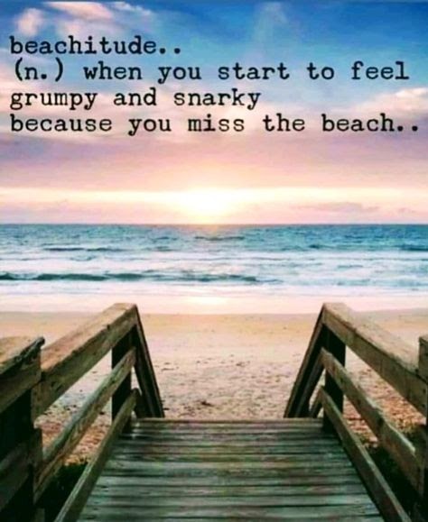 Missing Holidays Captions 75 Best Funny Beach Quotes That Will Brighten Your Day Daily Travel