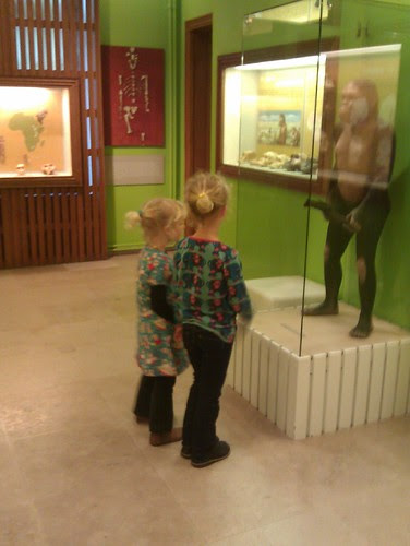 Australopithecus
