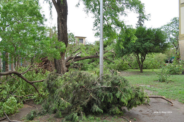Tormenta del 2 de enero