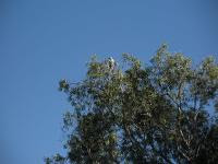 Free Image Hosting at www.ImageShack.us