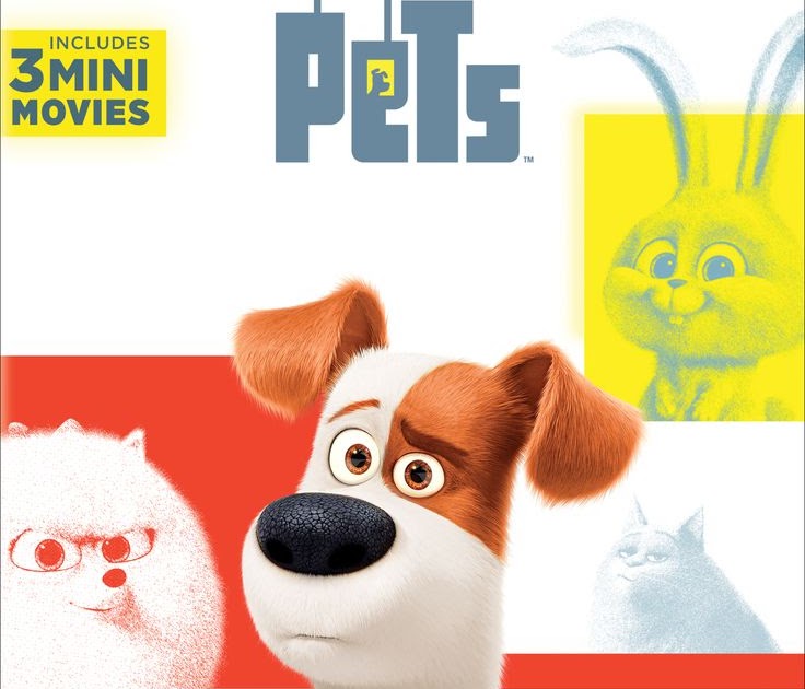 How Do Pets At Home Advertise ~ earthlywondersdesign