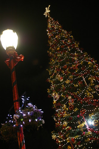 Xmas Tree with Viviatr 24 f/2.8