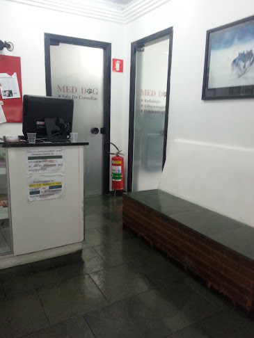 meddog.com.br